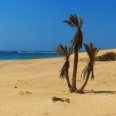 Die Faszinierende Boa Vista